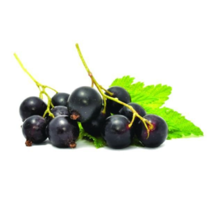 Saborizante de Cassis