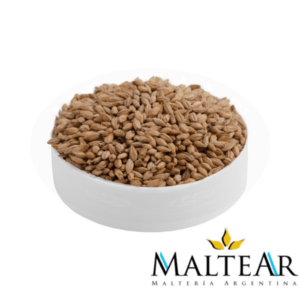 Biscuit - Maltear