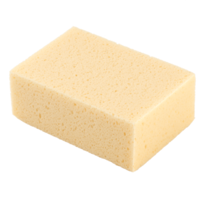 Esponja