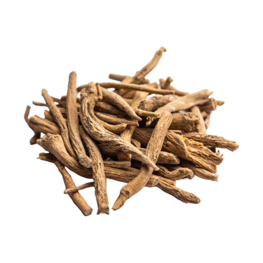 Raiz de Angelica
