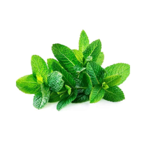 Menta Peperina - 20 gr